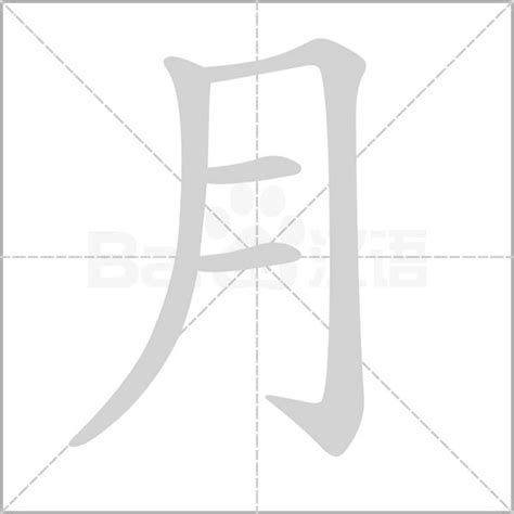 月字部首的字|月字旁